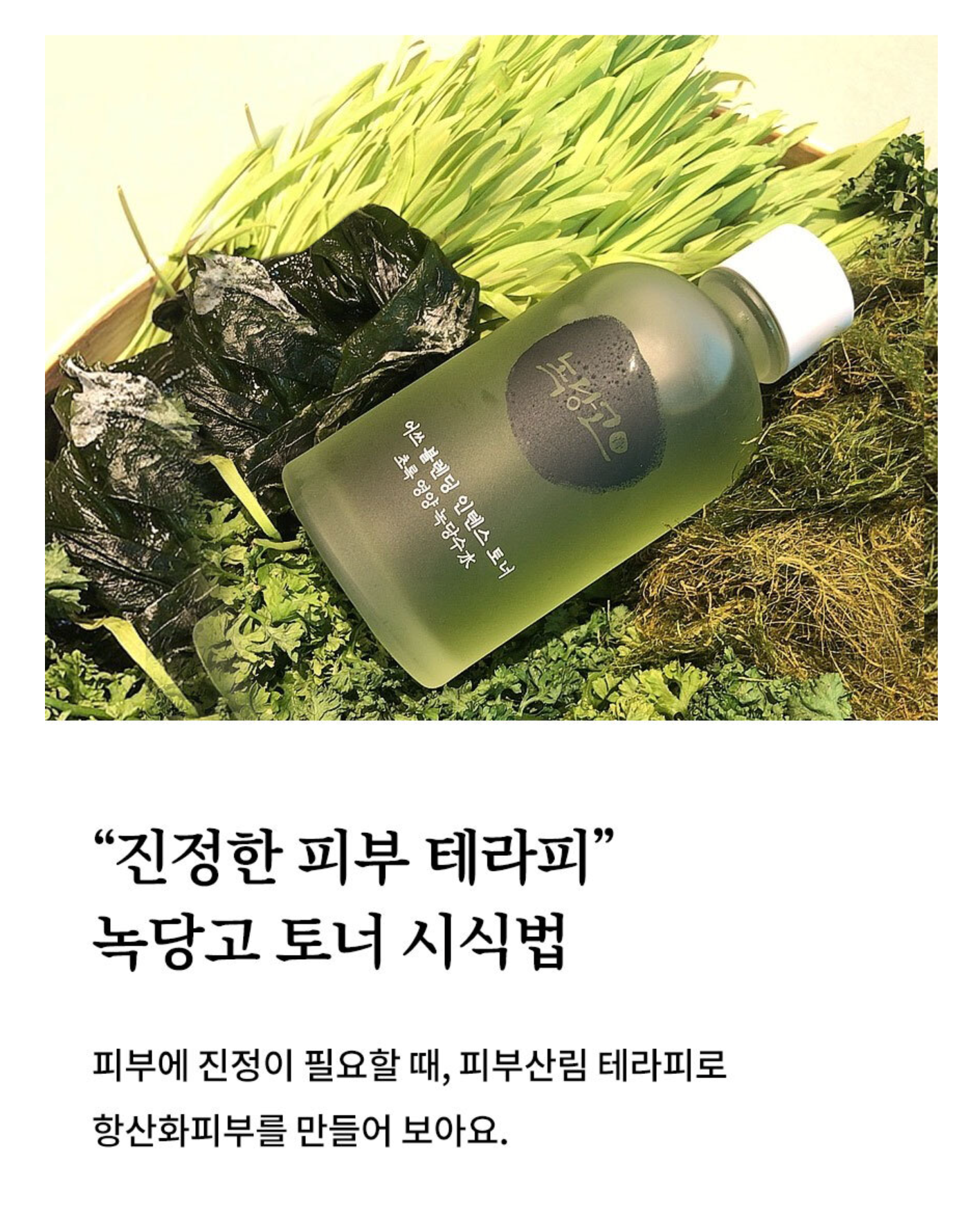 미국내 녹당고 엽록소 진정 에센스 160ml 판매 전문점